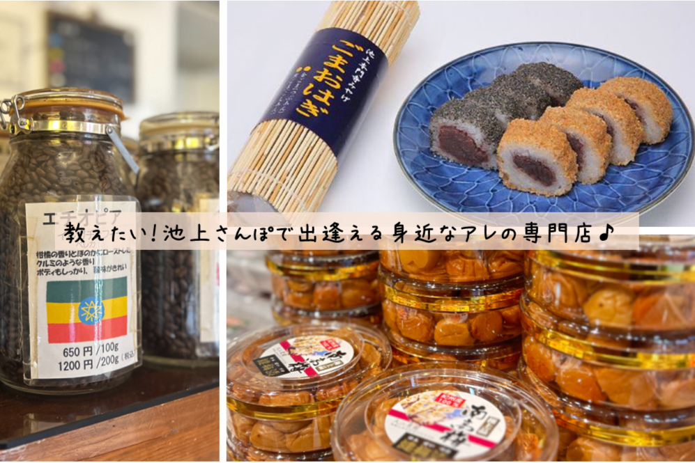 Ikegami specialty store MV