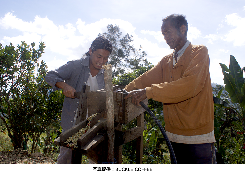 東ティモールの農村で現地生産者と一緒にコーヒーの栽培や加工に従事する石山代表