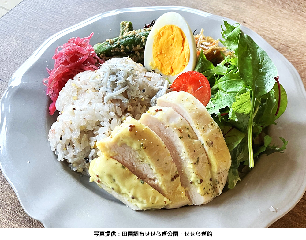 色鮮やかなサラダ、ゆで卵、鶏胸肉、しらすが乗った五穀米がワンプレートになった、ふはくヘルシープレート