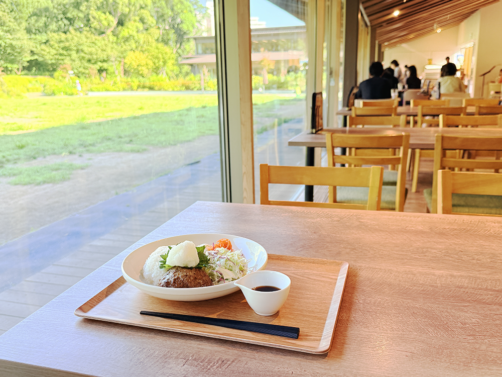 明るい光が差し込むレストランふはくの窓際席に用意された、特製手ごねハンバーグプレートのランチ