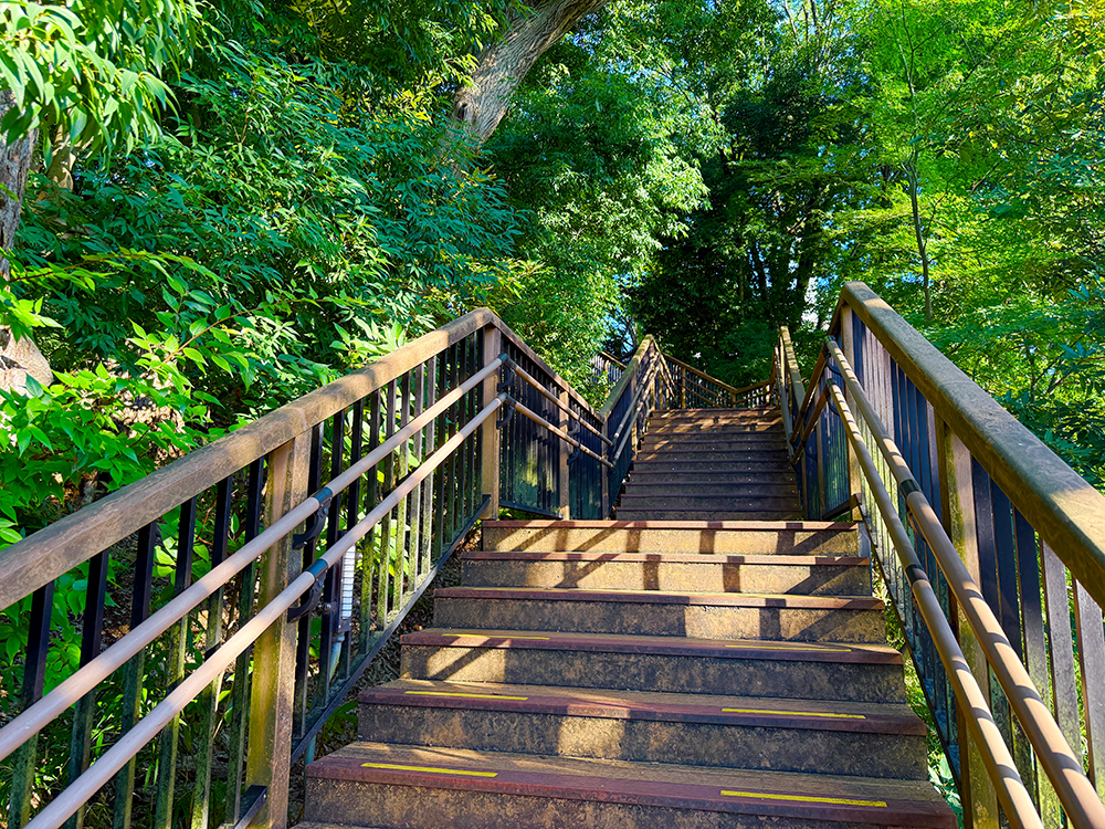 田園調布せせらぎ公園の深い森のなかへと続いていく、手すりのついた整備された階段