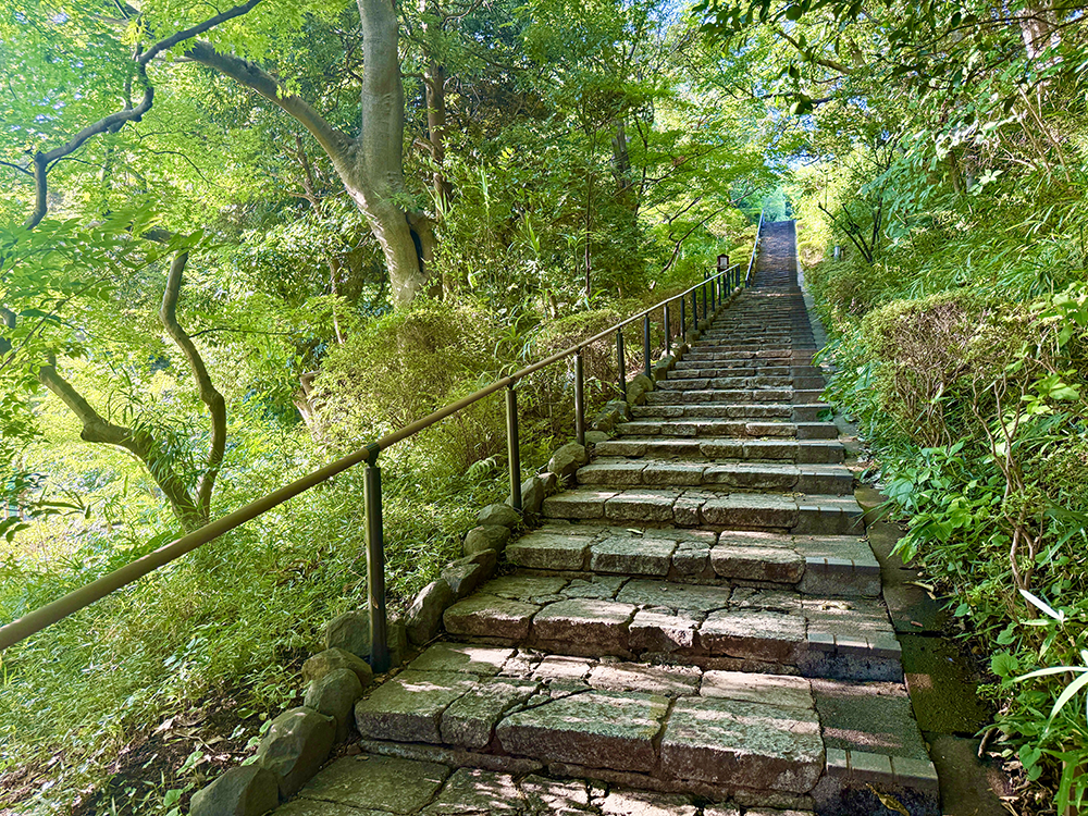 木漏れ日が心地よく差し込む、田園調布せせらぎ公園内の歴史ある大山坂の石畳の階段