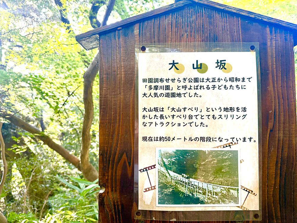 木漏れ日が心地よく差し込む、田園調布せせらぎ公園内の歴史ある大山坂の石畳の階段