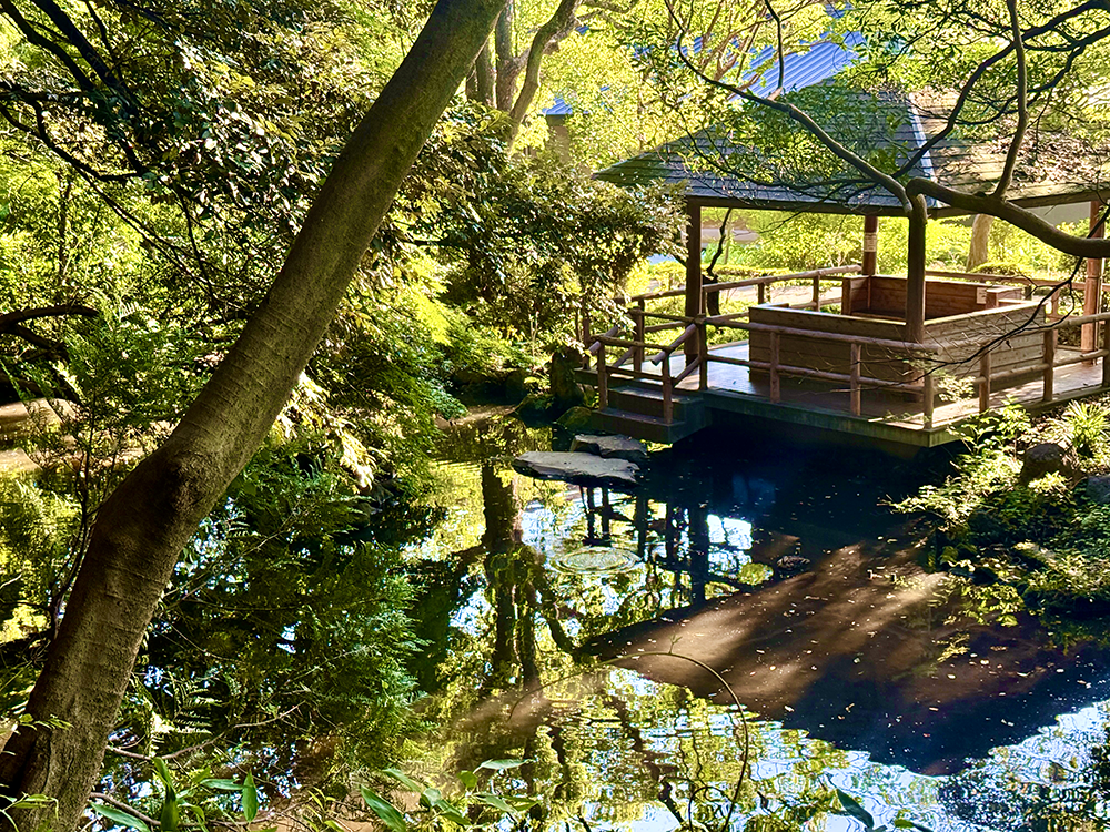水面に緑が美しく反射する静かな池と、そのほとりに建てられた木造の東屋