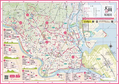 桜地図