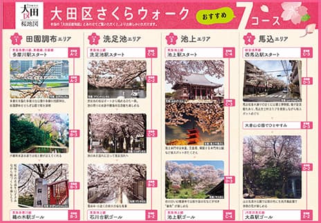 大田区桜ウォーク