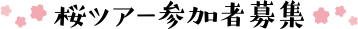 桜ツアー参加者募集
